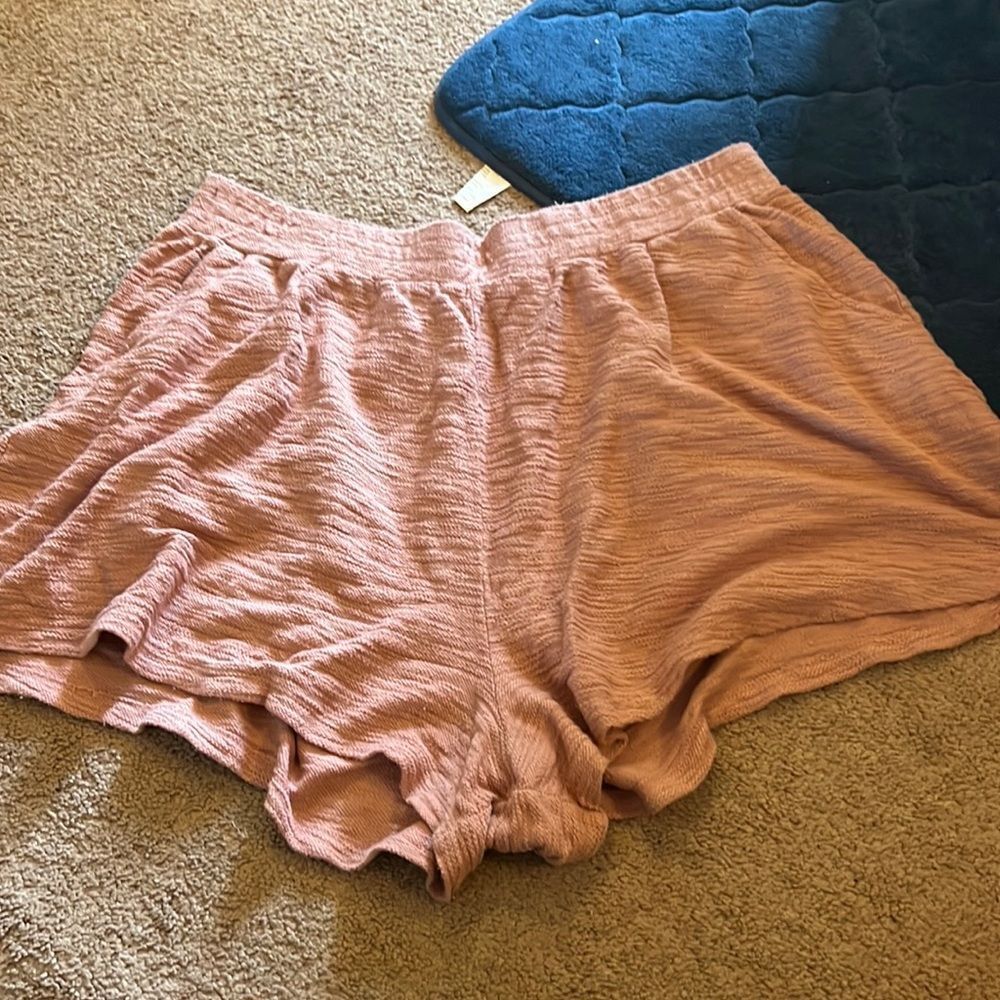 NWOT anthropolgie t.la pink shorts 2x